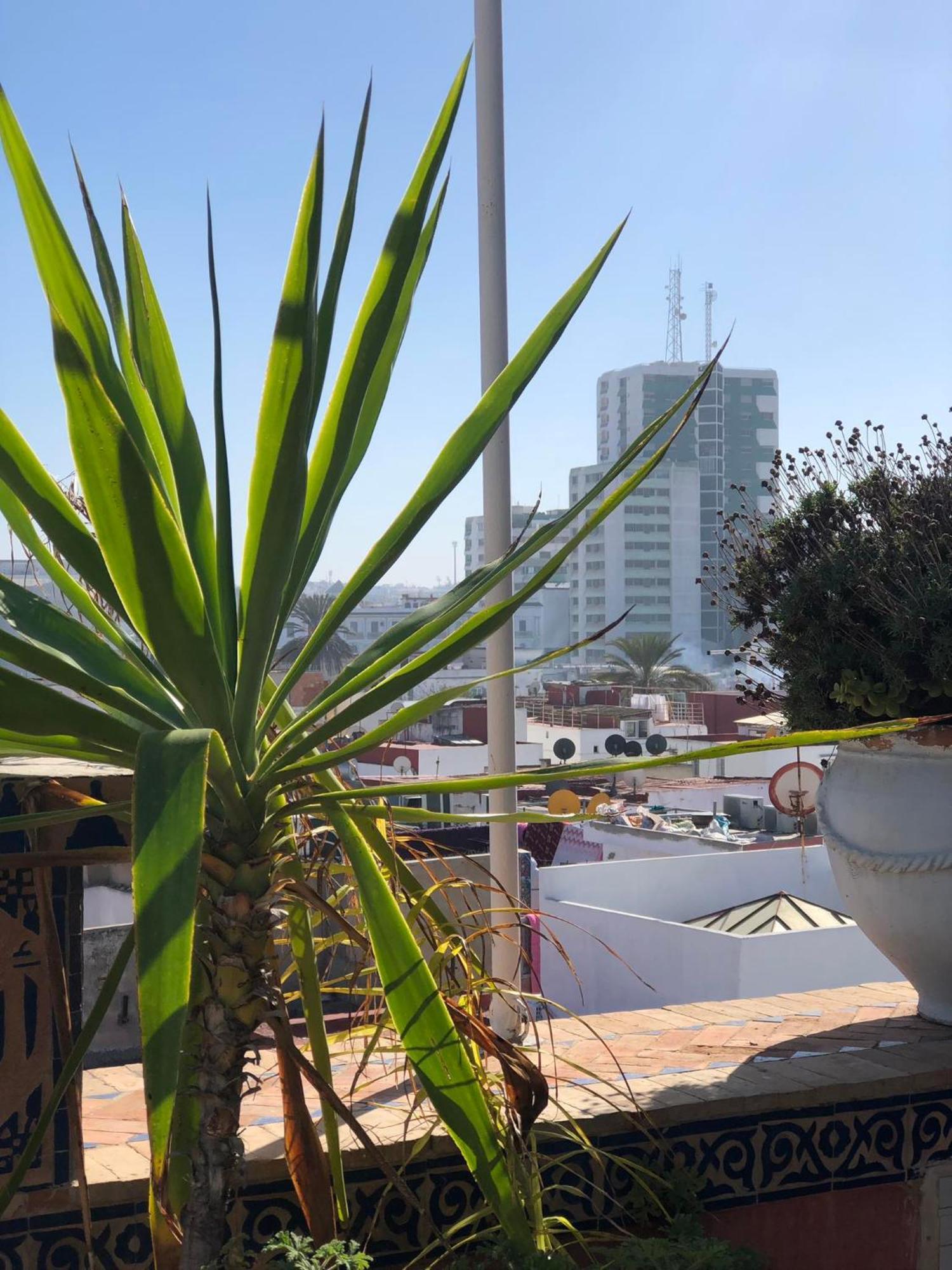 Riad Razoli Sidi Fateh 라바트 외부 사진