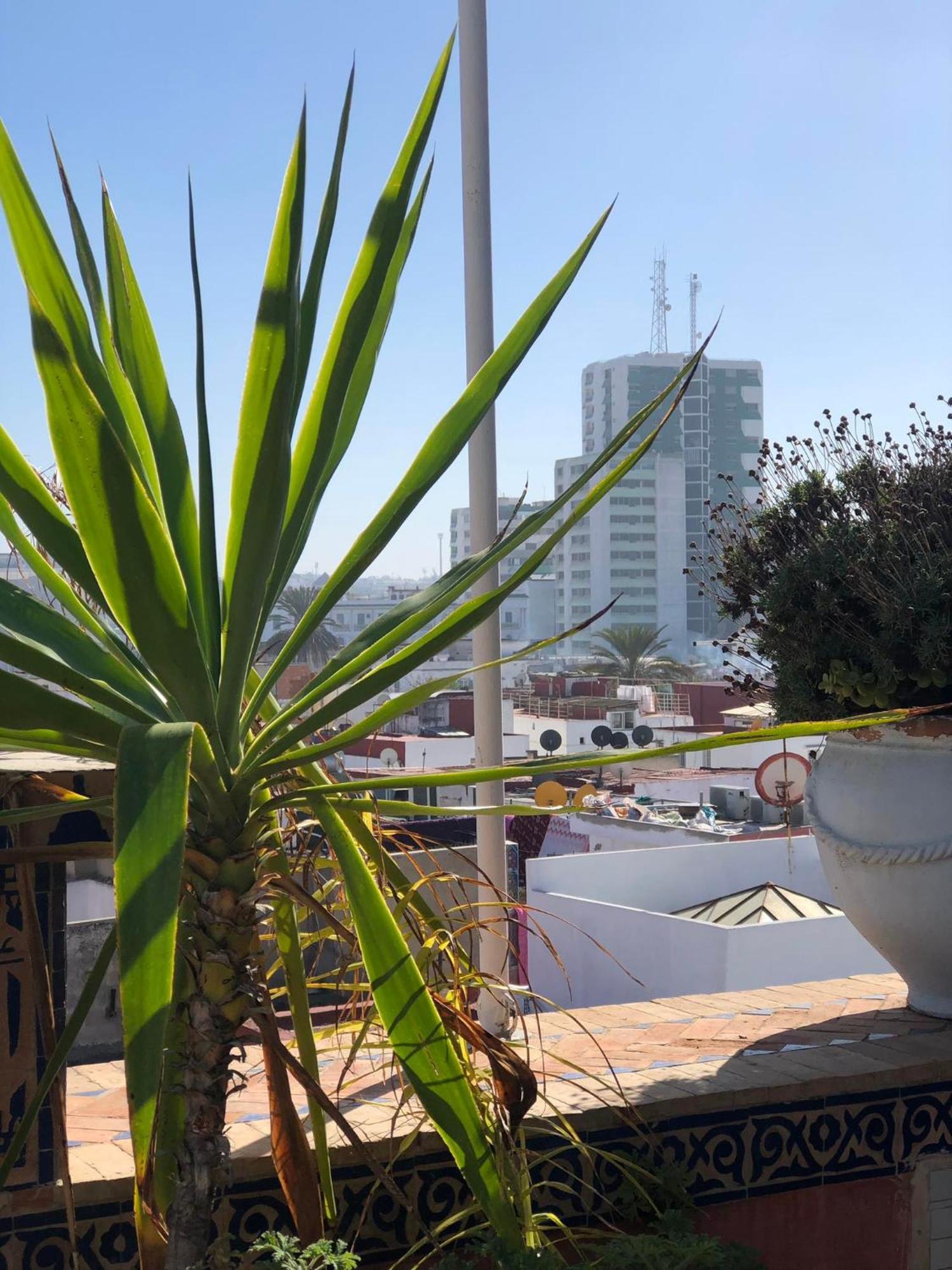 Riad Razoli Sidi Fateh 라바트 외부 사진